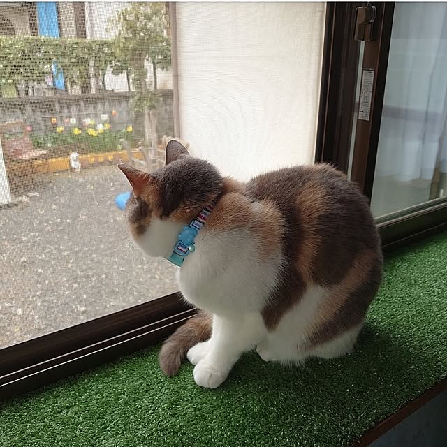 fukuさんの実例写真