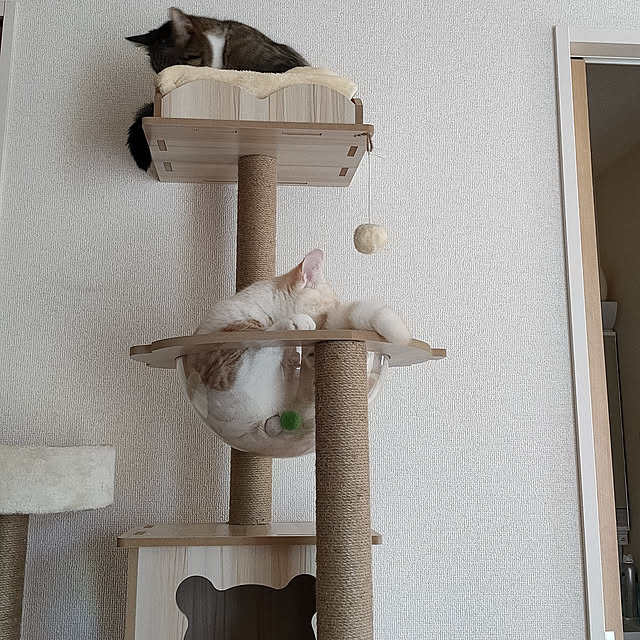 Ai_Mさんの実例写真
