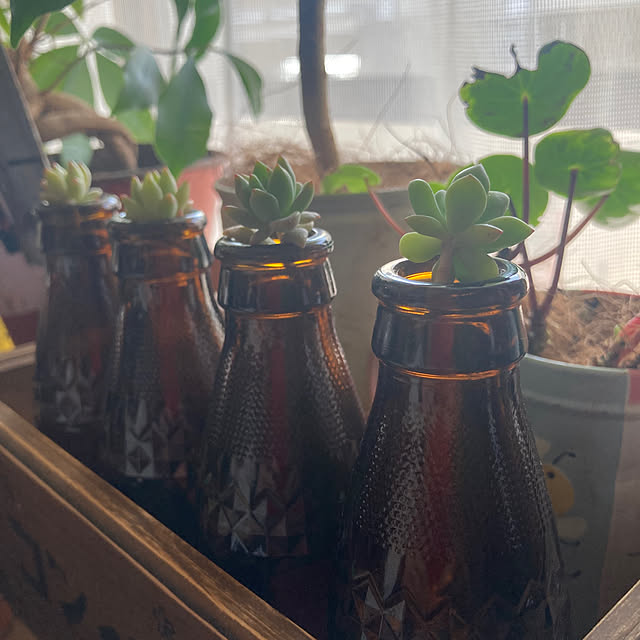 heidiさんの実例写真