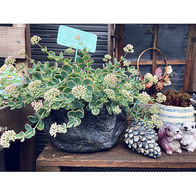 CoCo0617さんの実例写真