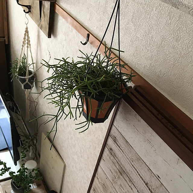 T.S.Pさんの実例写真