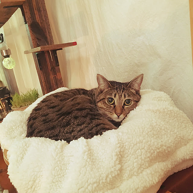 Mさんの実例写真