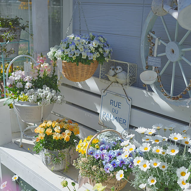 KNさんの実例写真