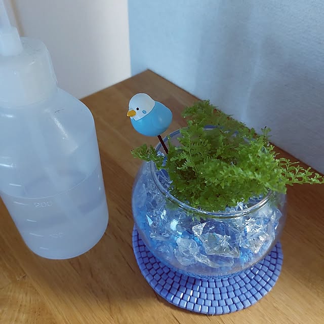 miyocoさんの実例写真