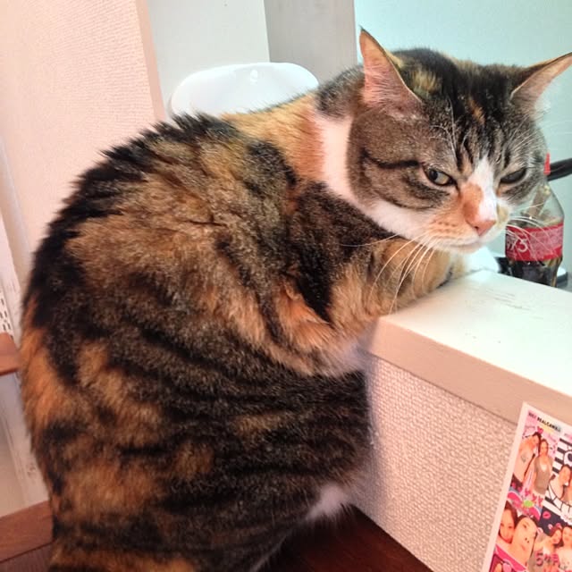 saqura_apartment101さんの実例写真