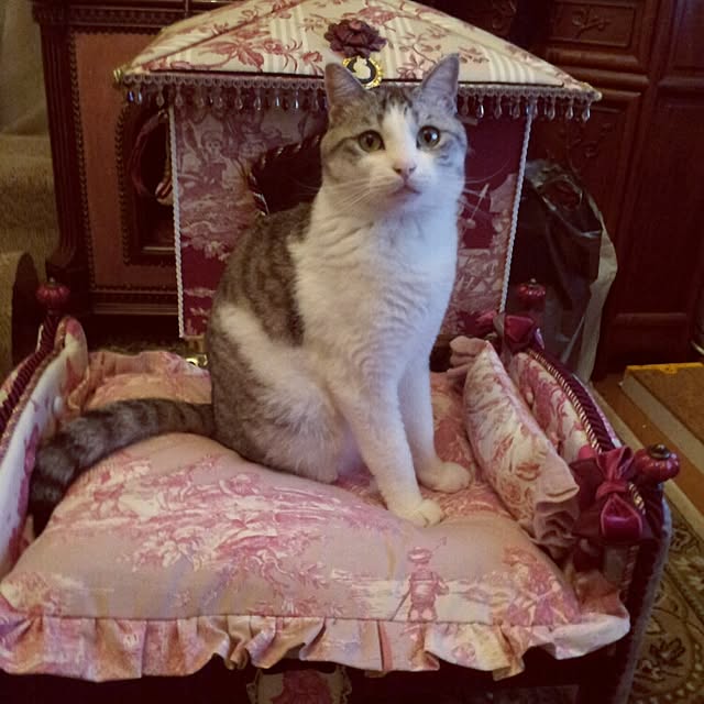 emmyyさんの実例写真