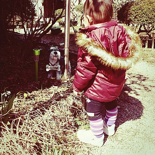 asa0521さんの実例写真