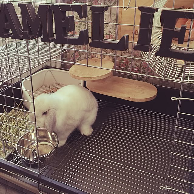amelieさんの実例写真