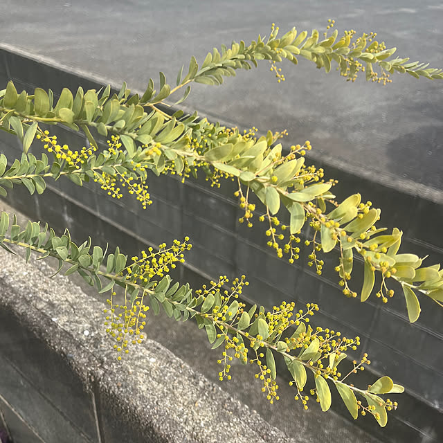 ha_ru76さんの部屋