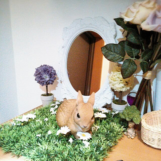 mayun...さんの実例写真