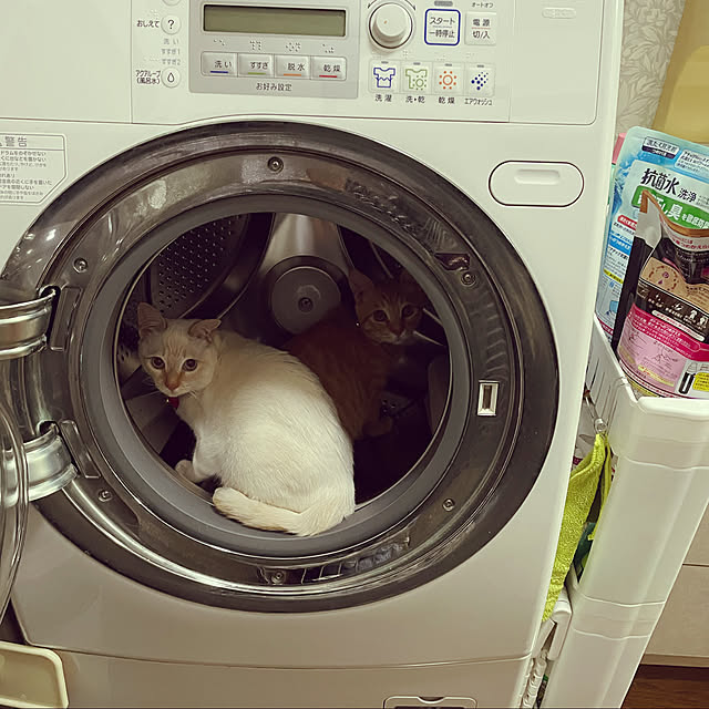 himetanさんの実例写真