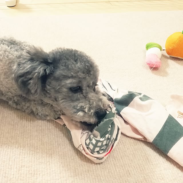 momoさんの実例写真