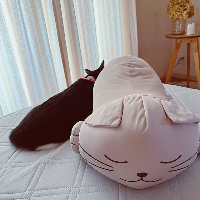 moolさんの実例写真
