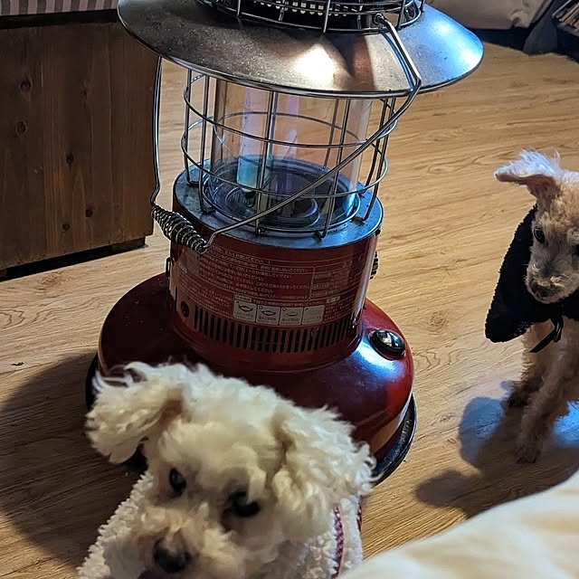 oshushiさんの実例写真