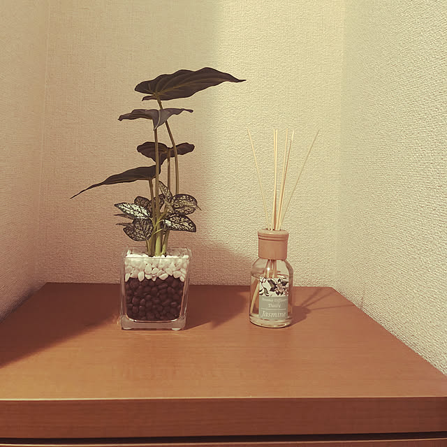 玄関/入り口/ニトリ/観葉植物のインテリア実例 - 2018-02-09 18:55:09