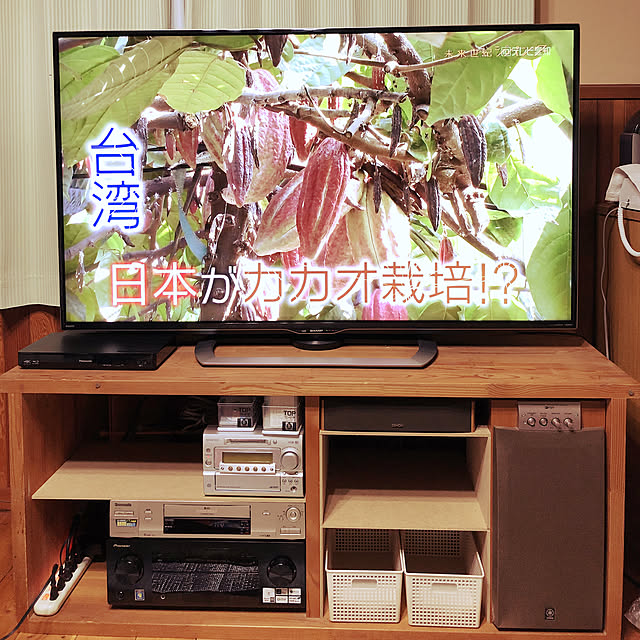 棚/DIY/100均のインテリア実例 - 2019-02-06 22:07:05