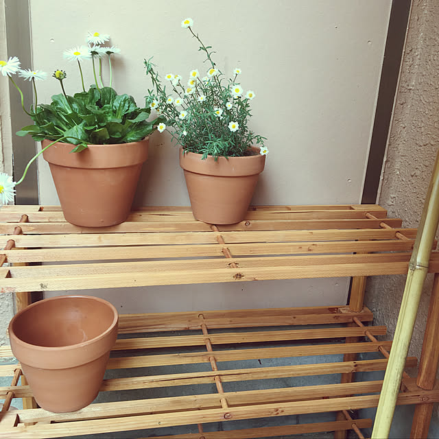 yomiyomiさんの実例写真