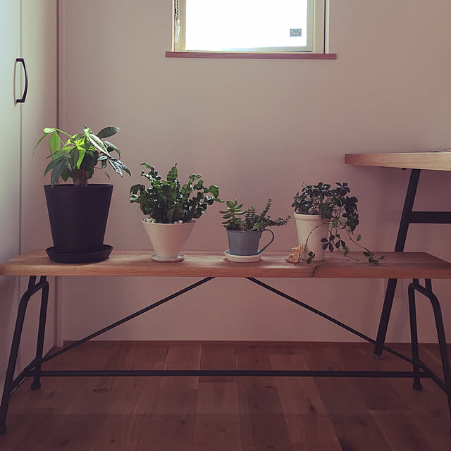 wood------k-----yさんの実例写真
