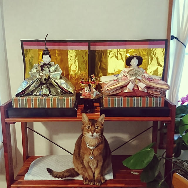 Abbyさんの実例写真