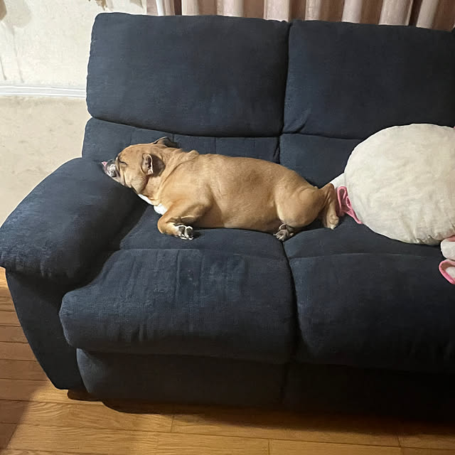 chi_gogaさんの部屋