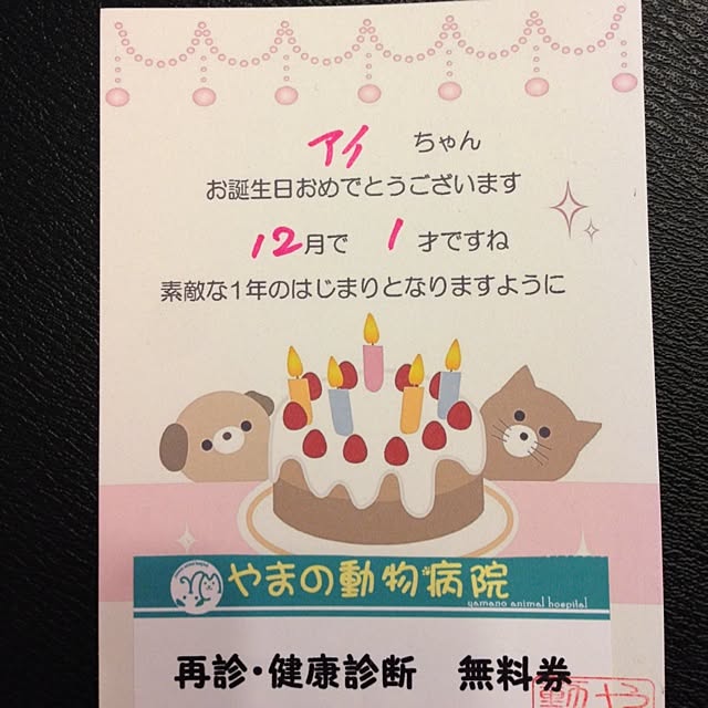 jnjnforesterさんの実例写真