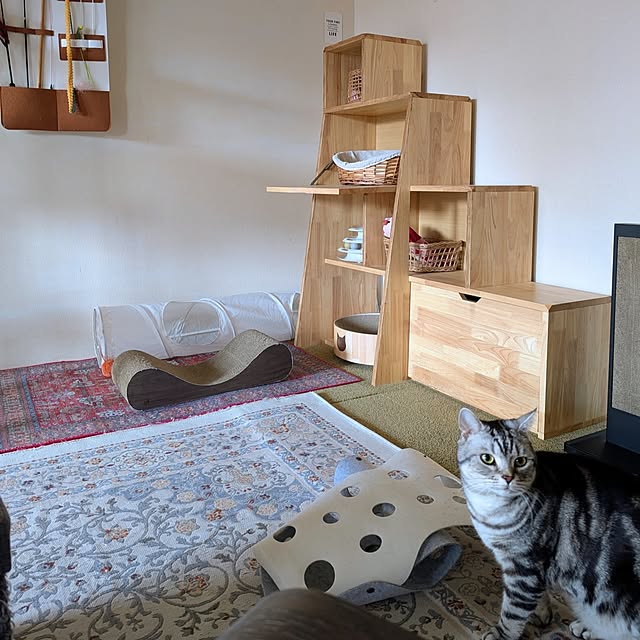 lovepeaceさんの実例写真