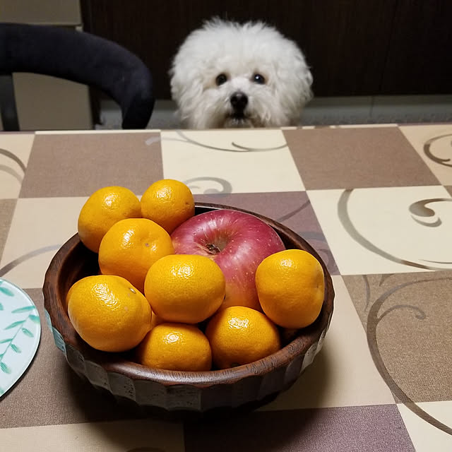 takoさんの実例写真