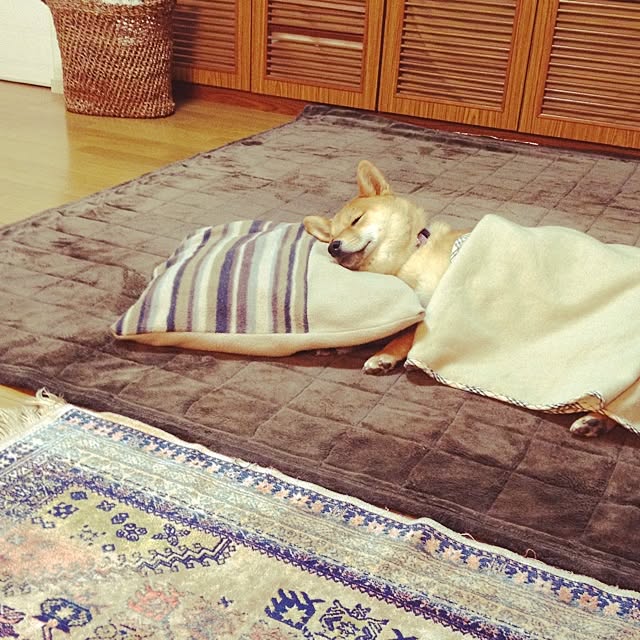 botanさんの実例写真