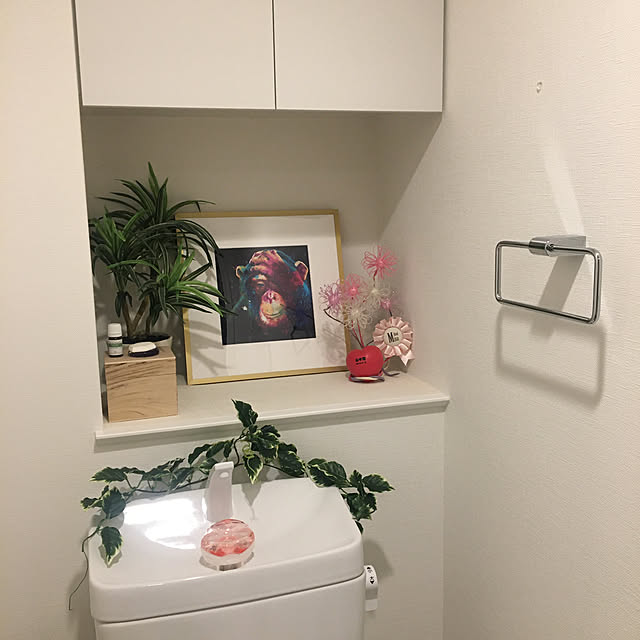 Misaさんの実例写真