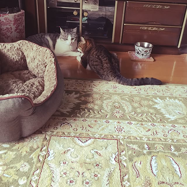 emmyyさんの実例写真