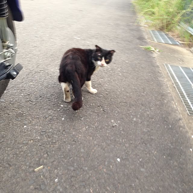 mobiri57さんの実例写真