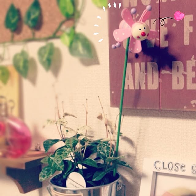 HARUNAさんの実例写真