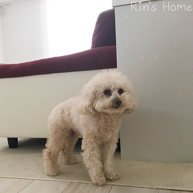 Rinさんの実例写真