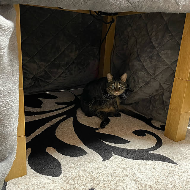 momocchiさんの部屋