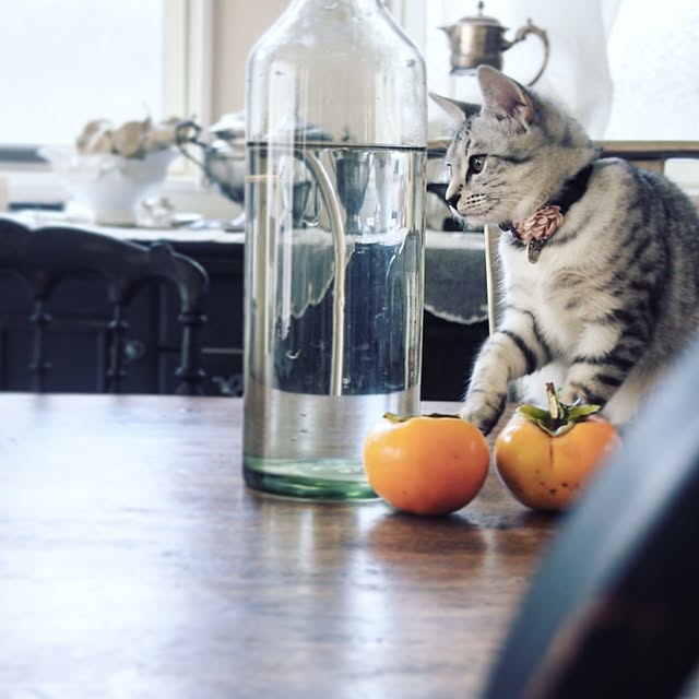 miiさんの実例写真