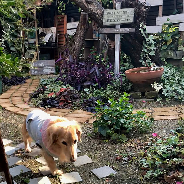 bibianさんの実例写真