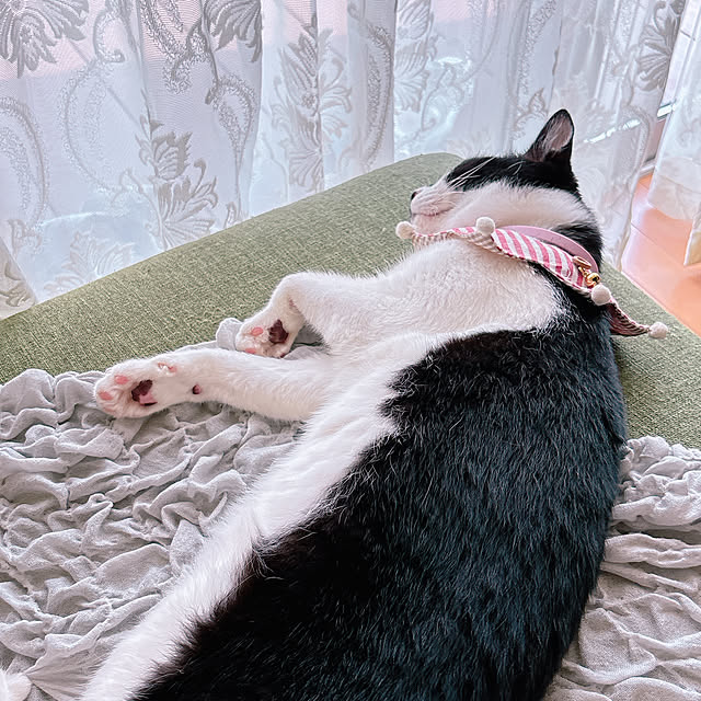 moolさんの部屋