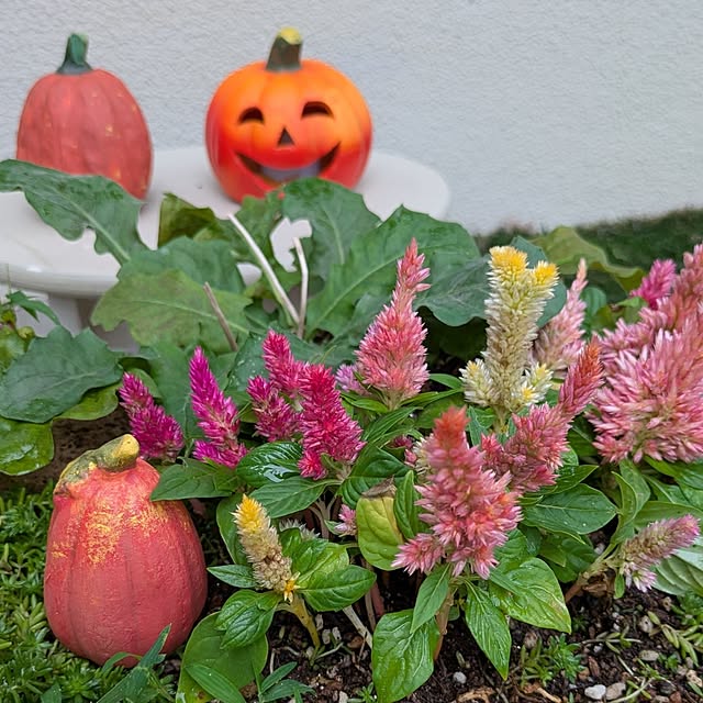 Rさんの実例写真
