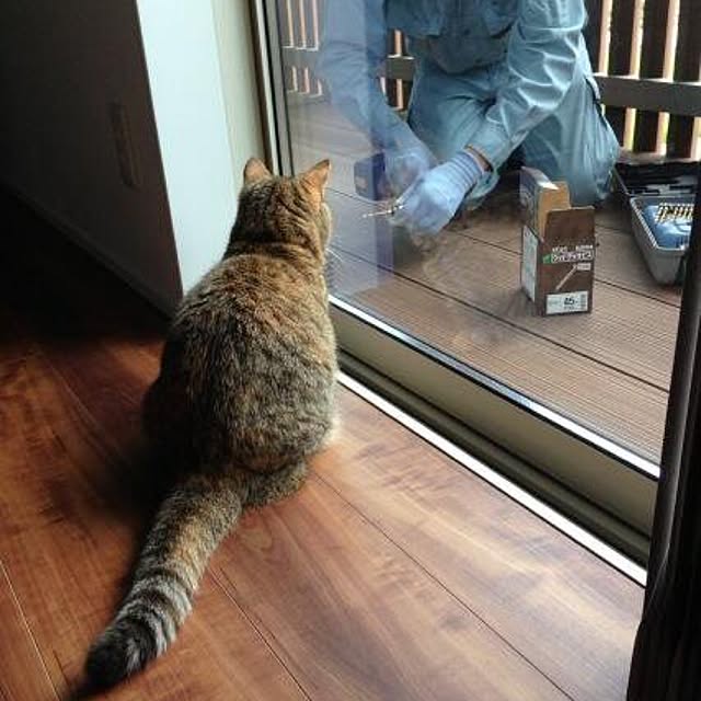 meloさんの実例写真