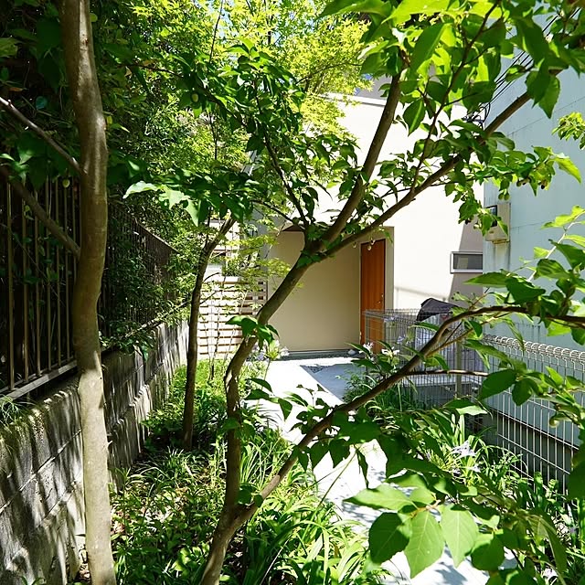 kumako.ieさんの部屋