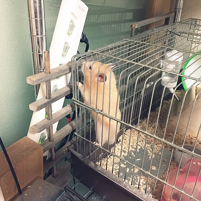 fruity anさんの実例写真