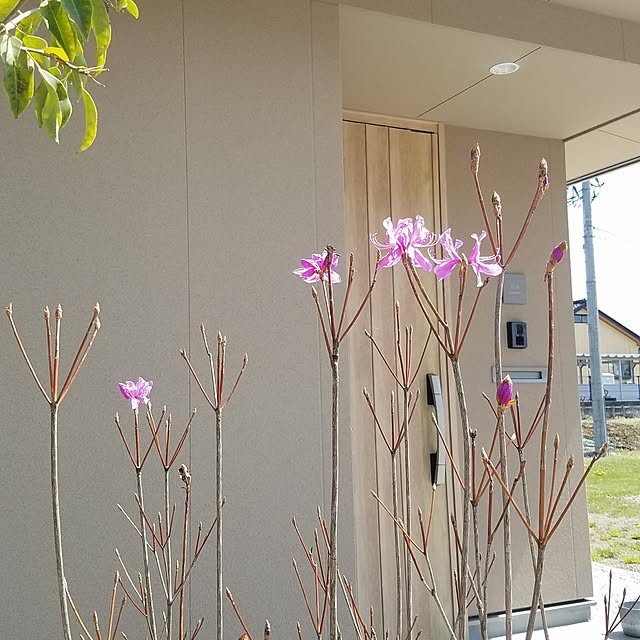 k-houseさんの実例写真
