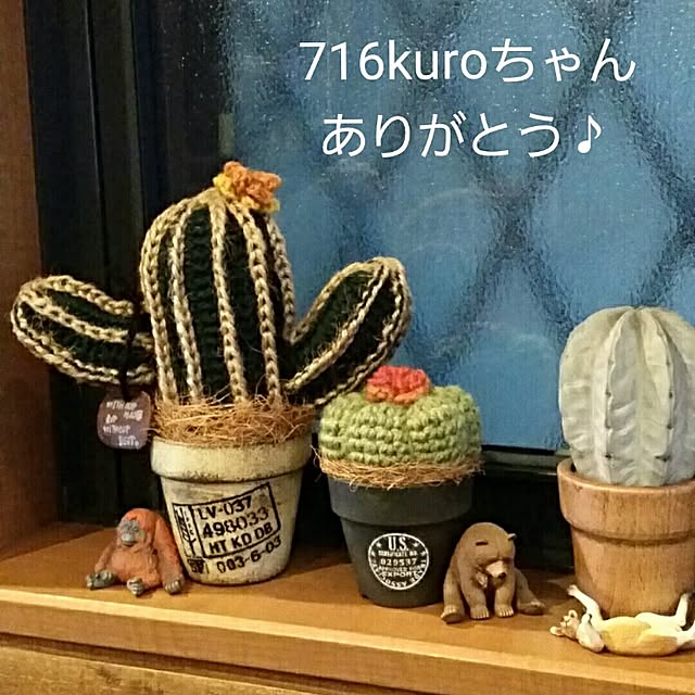 mioさんの実例写真
