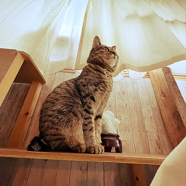Mさんの実例写真
