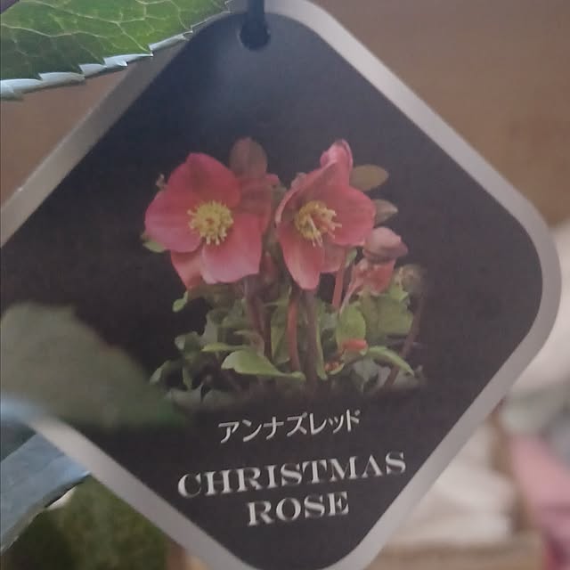 hiro.904さんの部屋