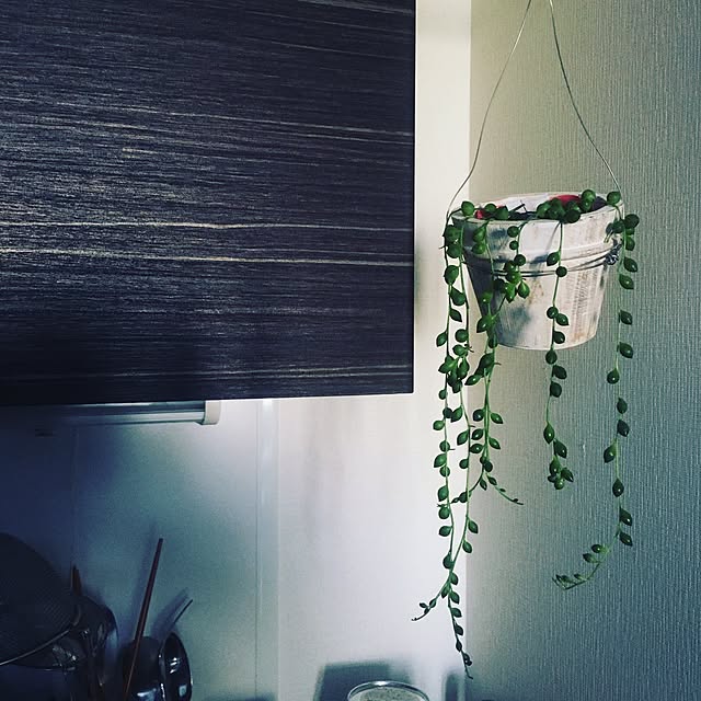 NOAHさんの実例写真