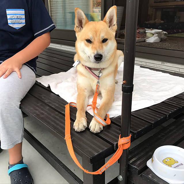 okadajapanさんの実例写真