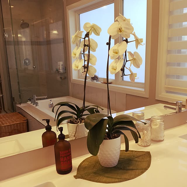 apt.801さんの実例写真