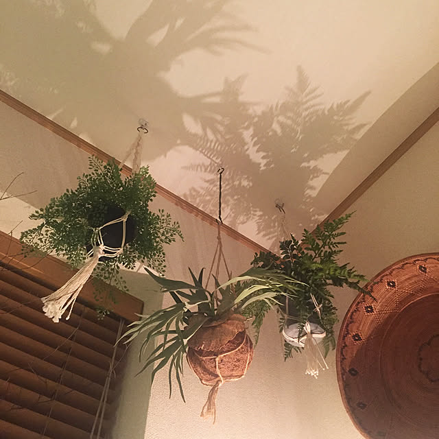 kamiさんの実例写真