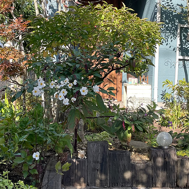 nobikoさんの実例写真